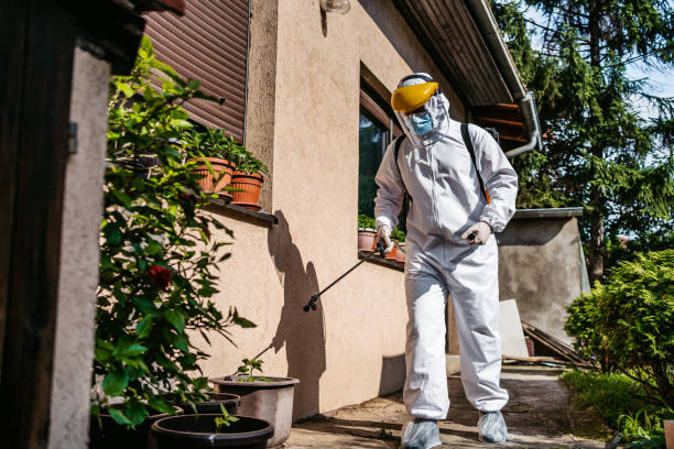 Wasp Removal Services in Vonore, TN