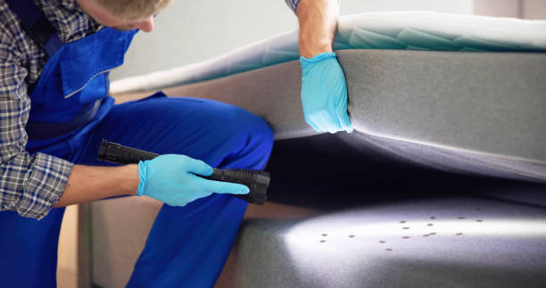 Professional Pest Control in Vonore, TN