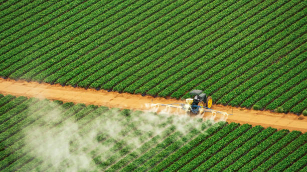 Best Ant Control Services  in Vonore, TN