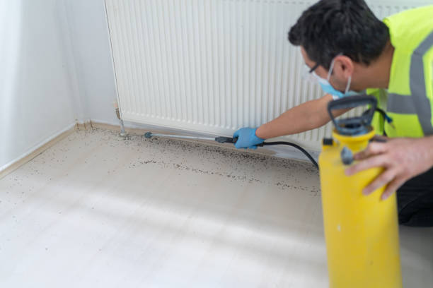 Best Best Pest Control Companies  in Vonore, TN